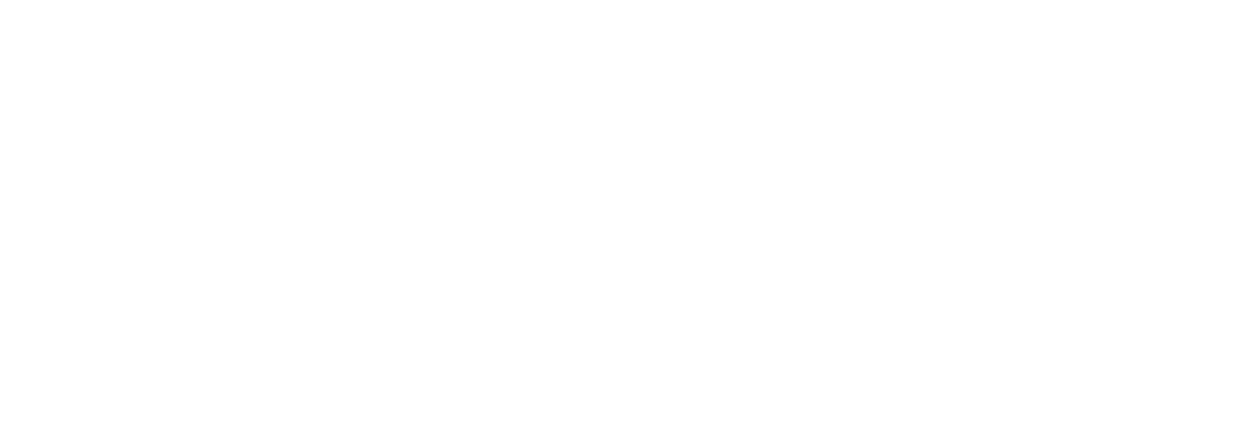 Top Partner Ranocchi